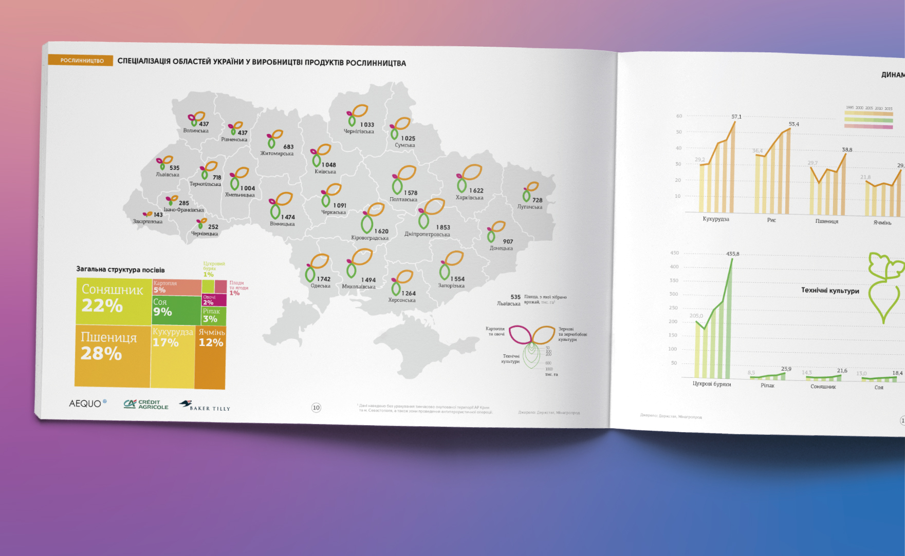 Інфографіка «Спеціалізація областей України у виробництві продуктів рослинництва»
