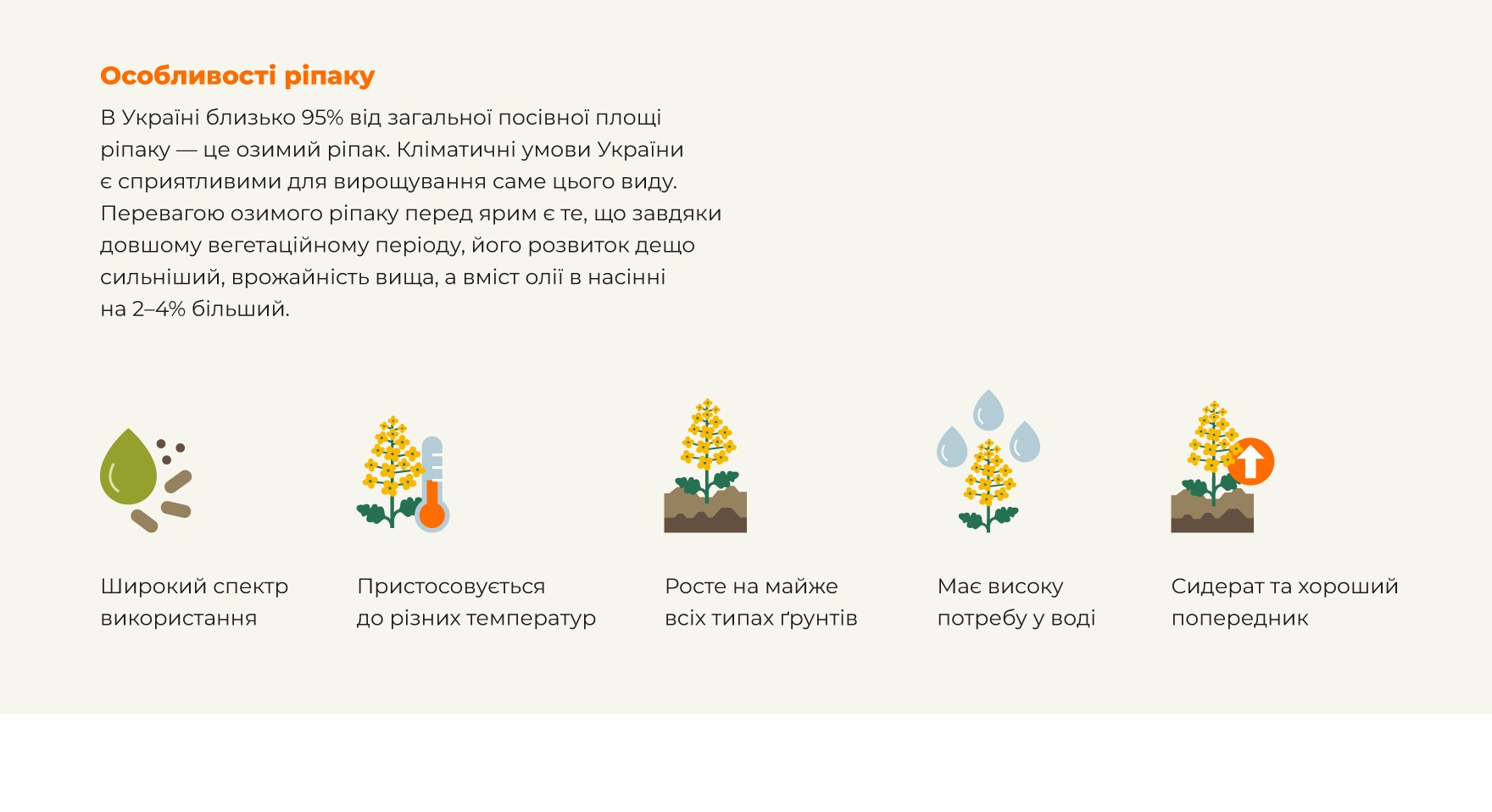 Особливості ріпаку. В Україні близько 95% від загальної посівної площі ріпаку — це озимий ріпак. Кліматичні умови України є сприятливими для вирощування саме цього виду. Перевагою озимого ріпаку перед ярим є те, що завдяки довшому вегетаційному періоду, його розвиток дещо сильніший, врожайність вища, а вміст олії в насінні на 2-4% більший. Широкий спектр використання; Пристосовується до різних температур; Росте майже на всіх типах грунтів; Має високу потребу у воді; Сидерат та хороший попередник.